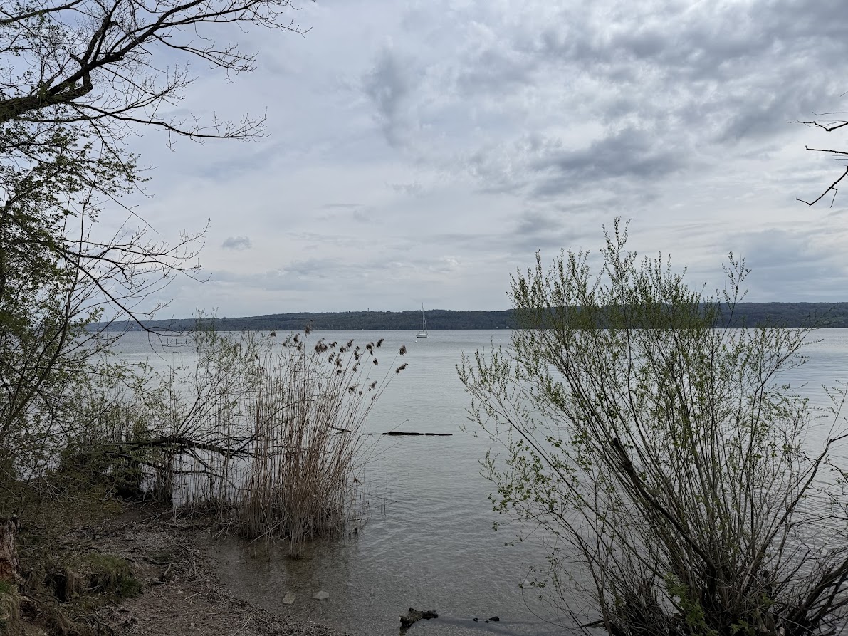 Ammersee — Schilf und Segelboot bei Wolken