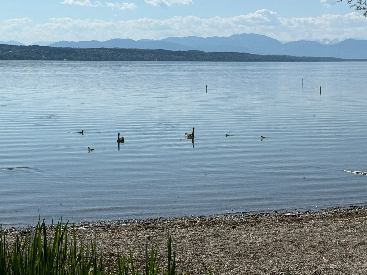 Starnberger See