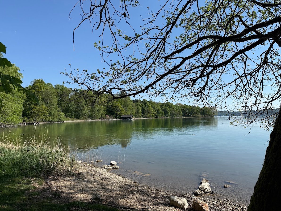 Alter Bootssteg mit klarem Wasser am Starnberger See