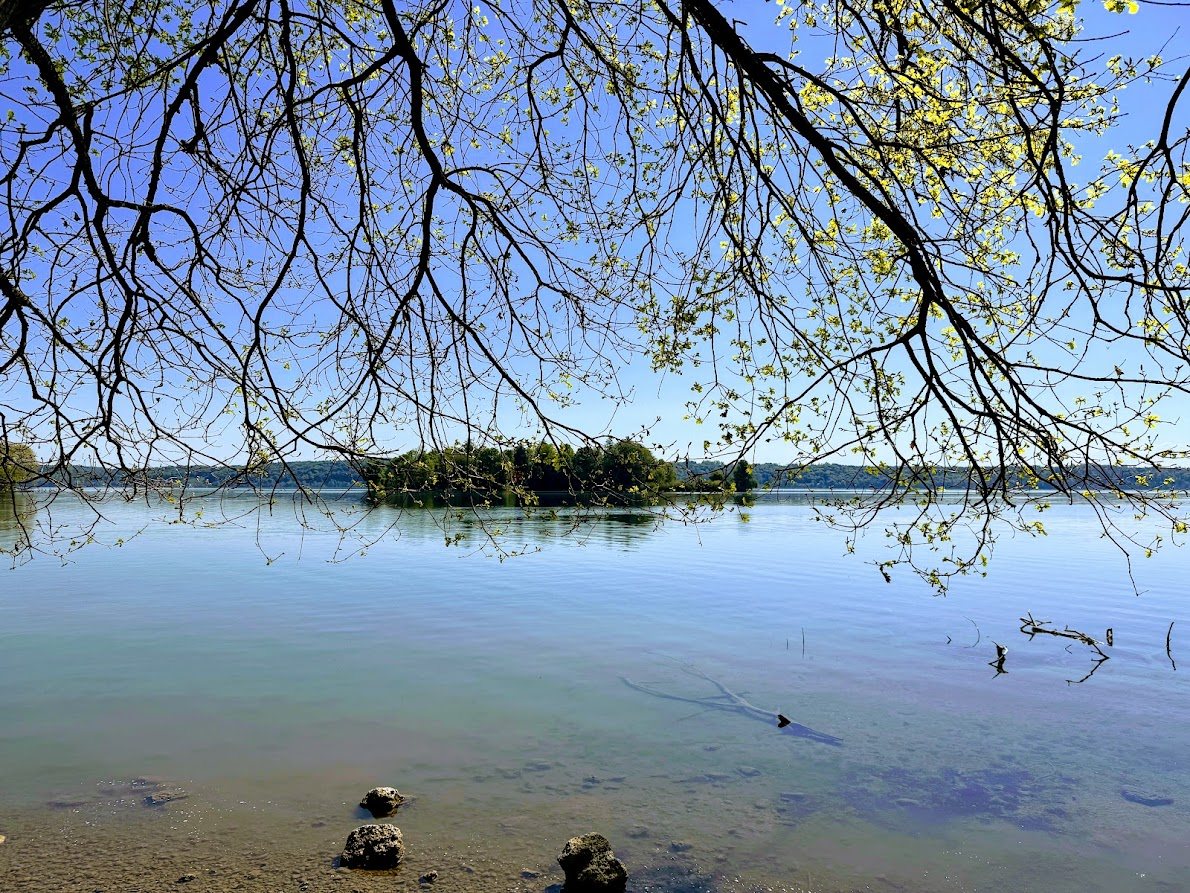 Ruhige Bucht am Starnberger See, gerahmt von Zweigen
