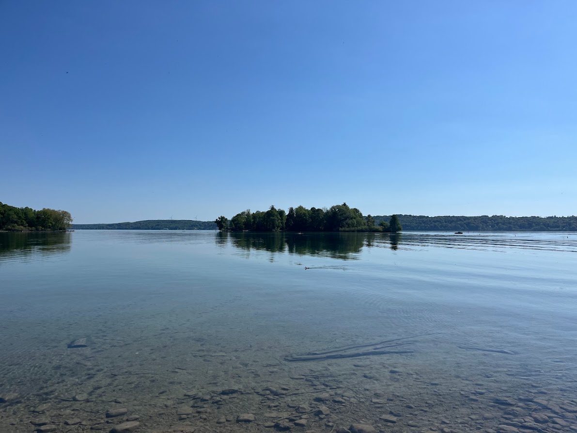 Blick über klares Wasser zur bewaldeten Insel im Starnberger See