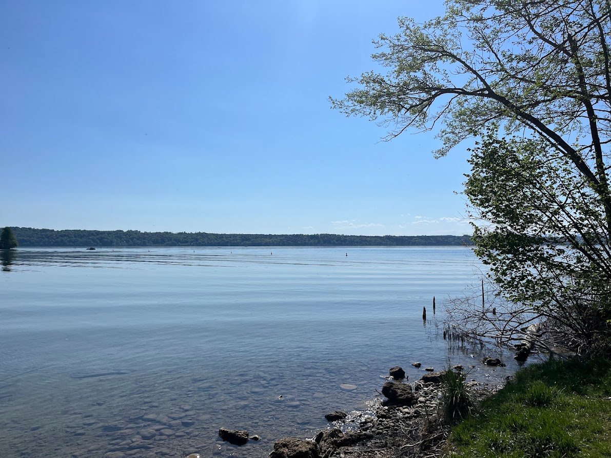 Stille Weite des Starnberger Sees mit Baum am rechten Ufer
